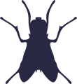 Flying Insects Icon